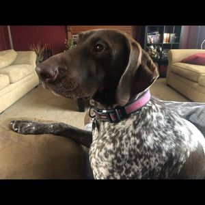 Meet your Posher, Brian